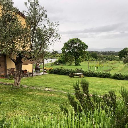 Agriturismo La Posta Reale Castiglion Fibocchi Dış mekan fotoğraf