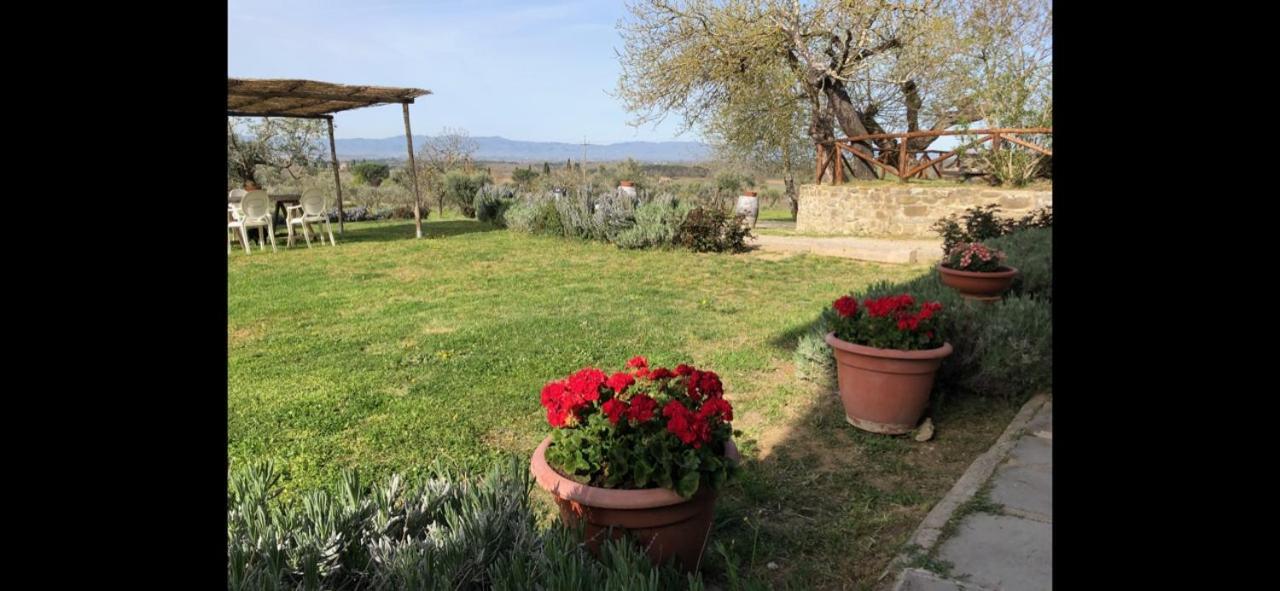 Agriturismo La Posta Reale Castiglion Fibocchi Dış mekan fotoğraf