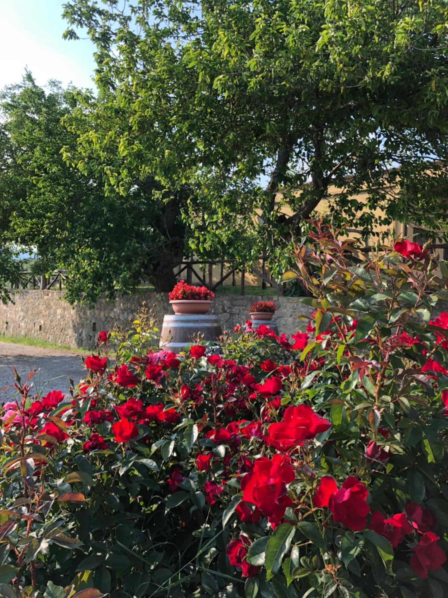Agriturismo La Posta Reale Castiglion Fibocchi Dış mekan fotoğraf
