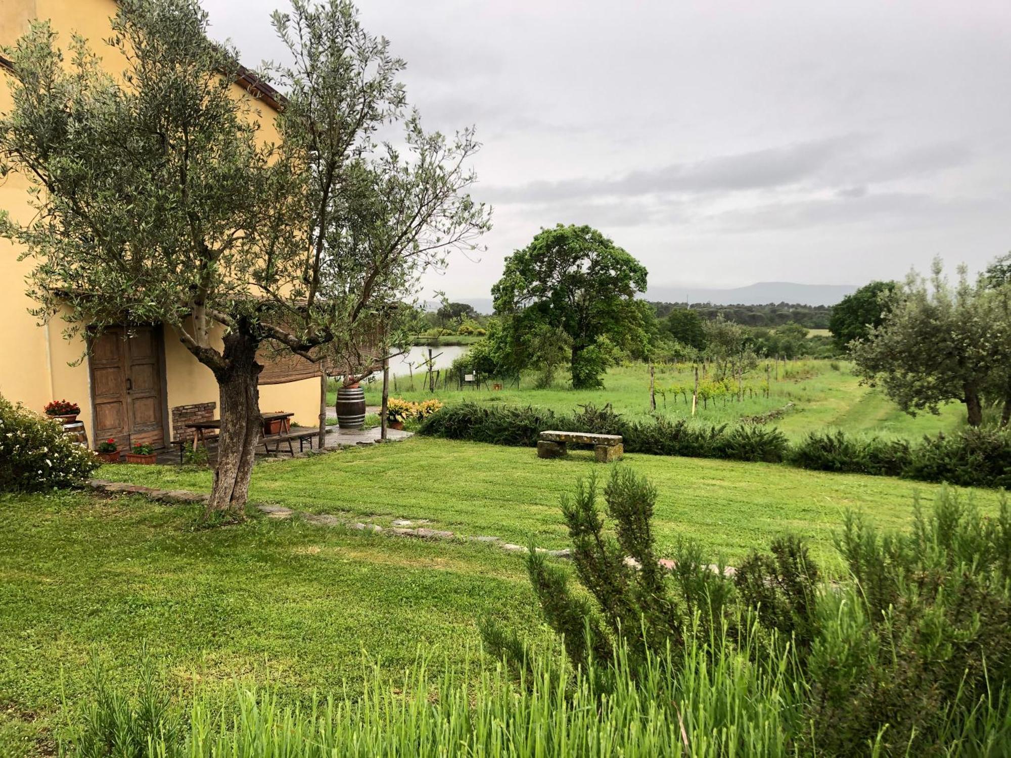 Agriturismo La Posta Reale Castiglion Fibocchi Dış mekan fotoğraf
