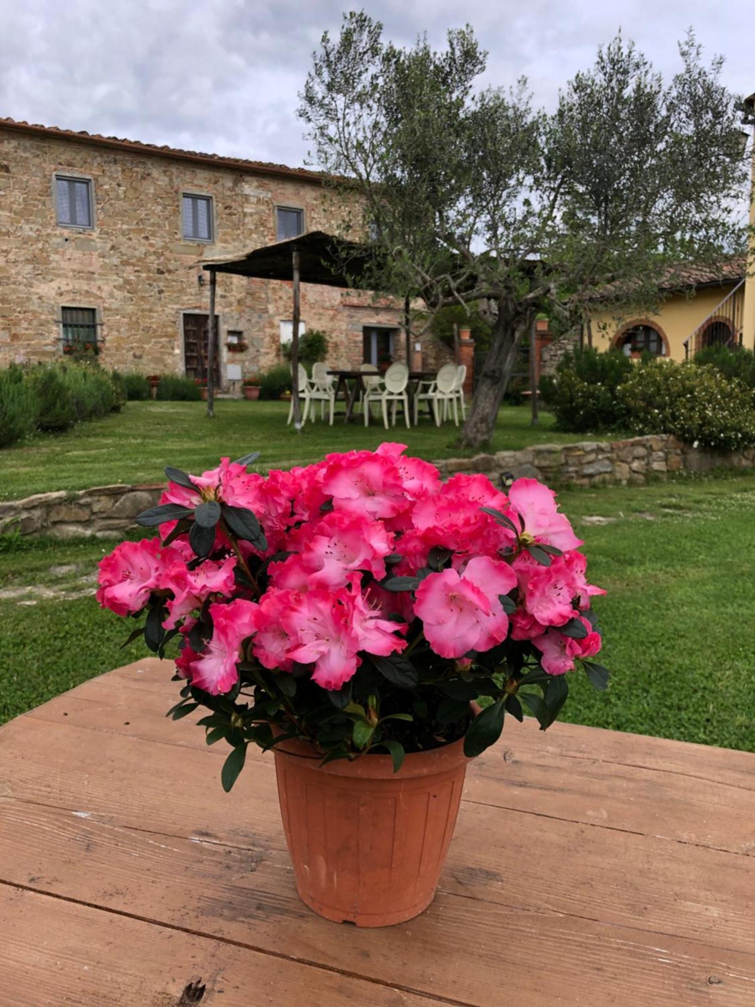 Agriturismo La Posta Reale Castiglion Fibocchi Dış mekan fotoğraf