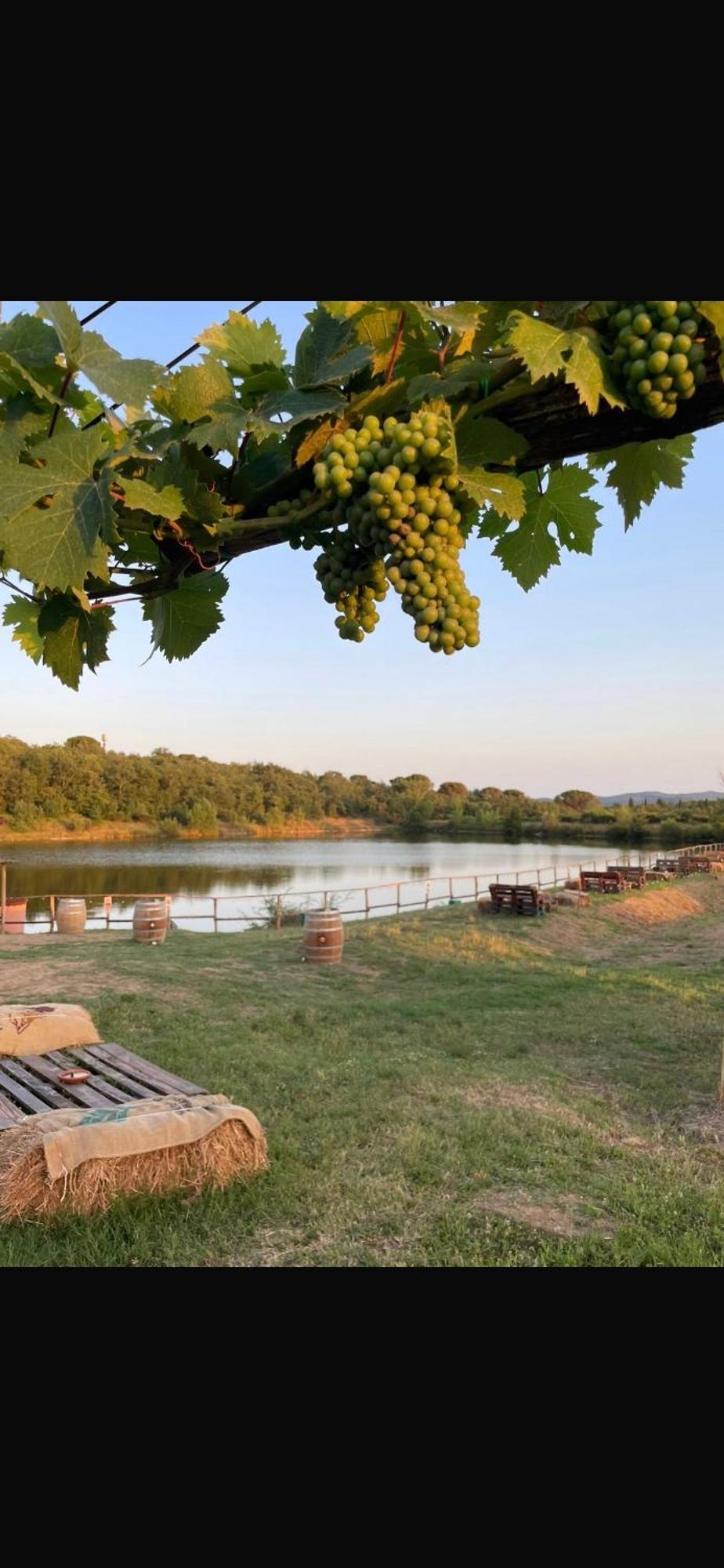 Agriturismo La Posta Reale Castiglion Fibocchi Dış mekan fotoğraf