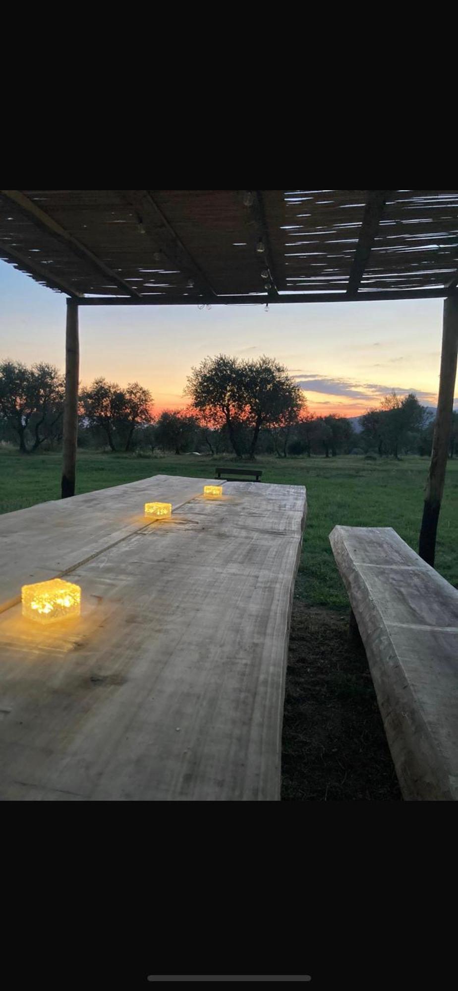Agriturismo La Posta Reale Castiglion Fibocchi Dış mekan fotoğraf