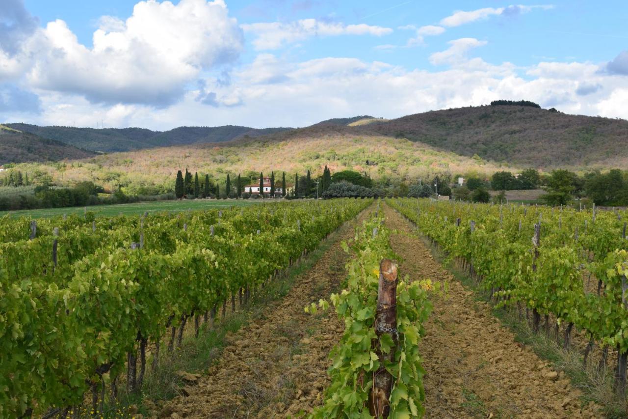 Agriturismo La Posta Reale Castiglion Fibocchi Dış mekan fotoğraf